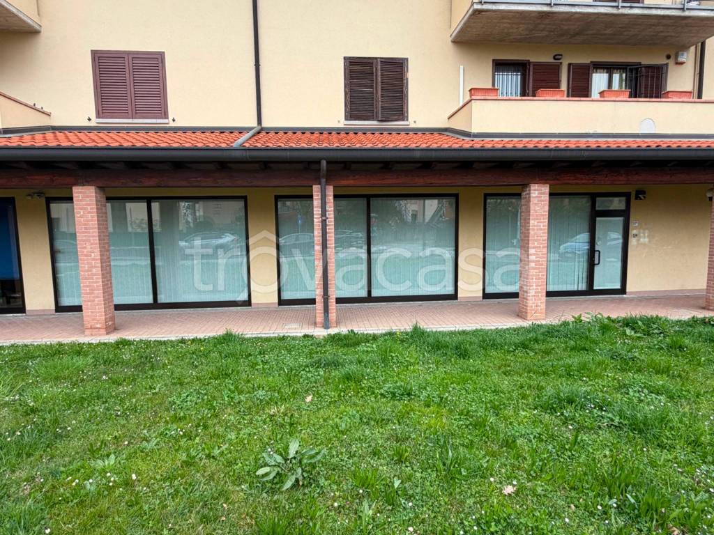 immagine annuncio 7 di 9