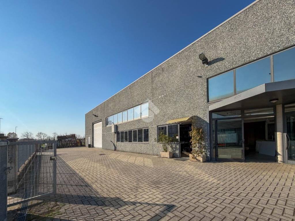 immagine annuncio 5 di 15