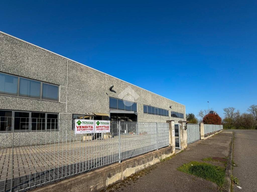 immagine annuncio 6 di 15