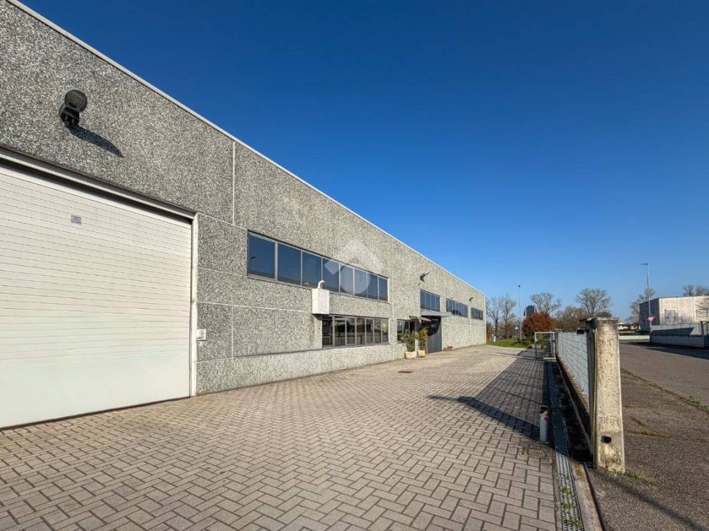 immagine annuncio 11 di 15