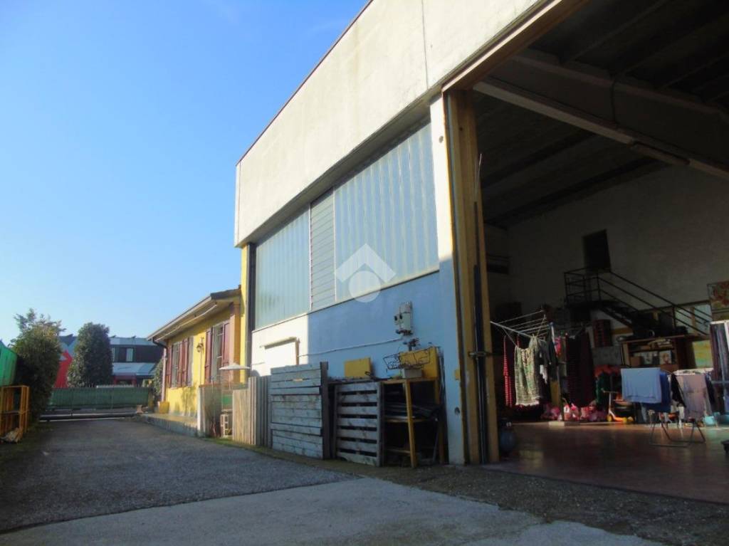 immagine annuncio 7 di 15