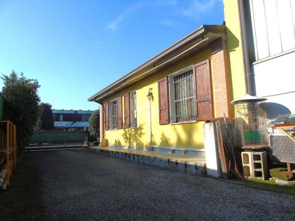 immagine annuncio 9 di 15