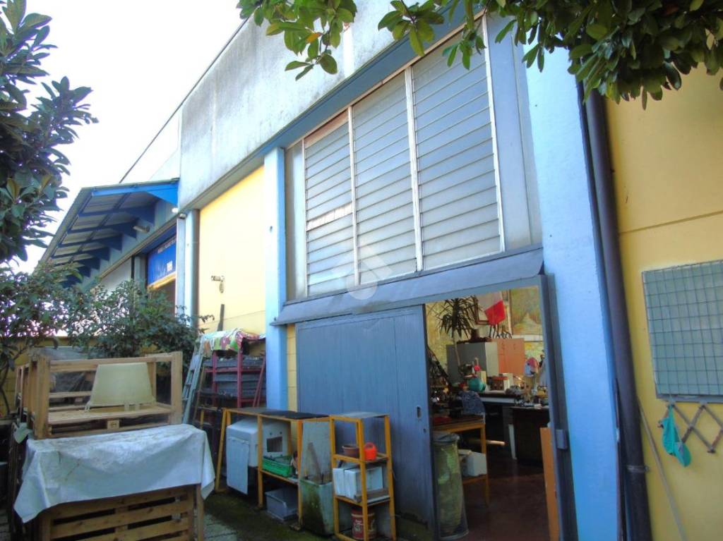 immagine annuncio 11 di 15