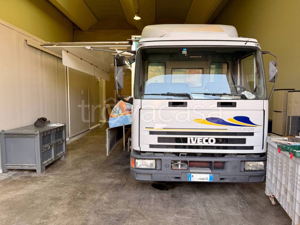 immagine annuncio 5 di 9