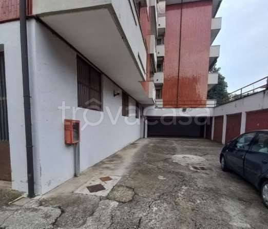 immagine annuncio 2 di 8