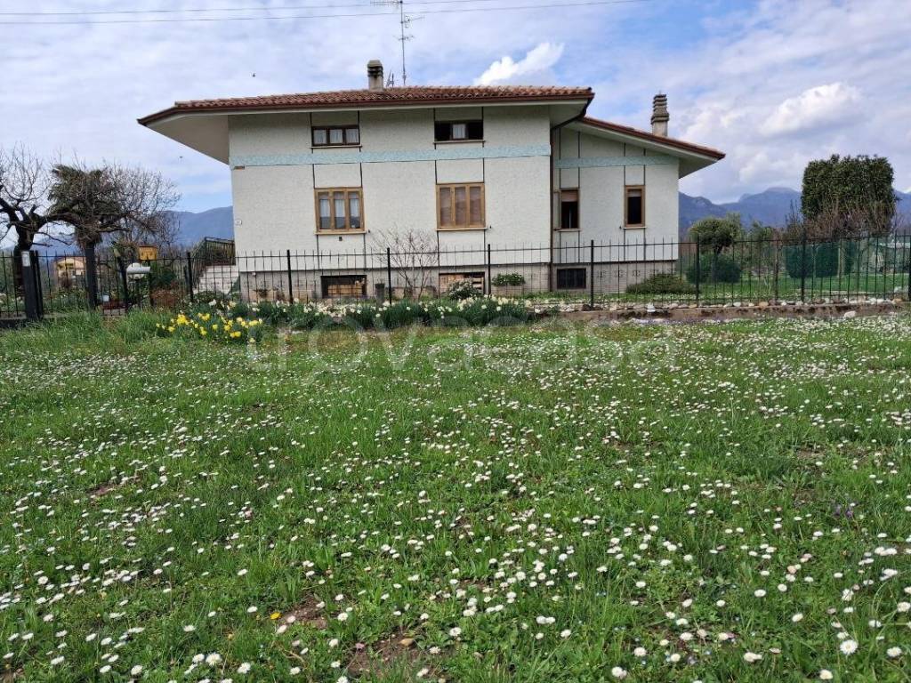 immagine annuncio 3 di 9