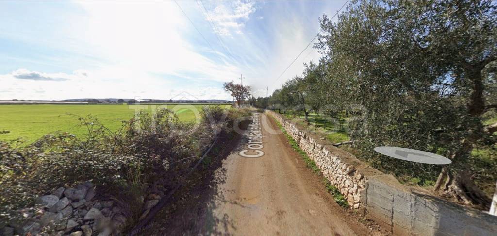 immagine annuncio 3 di 12