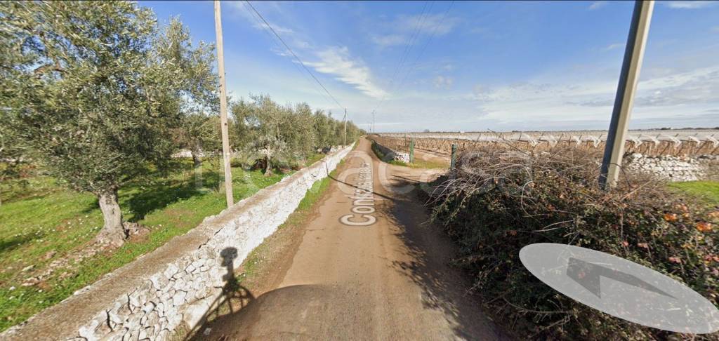 immagine annuncio 8 di 12