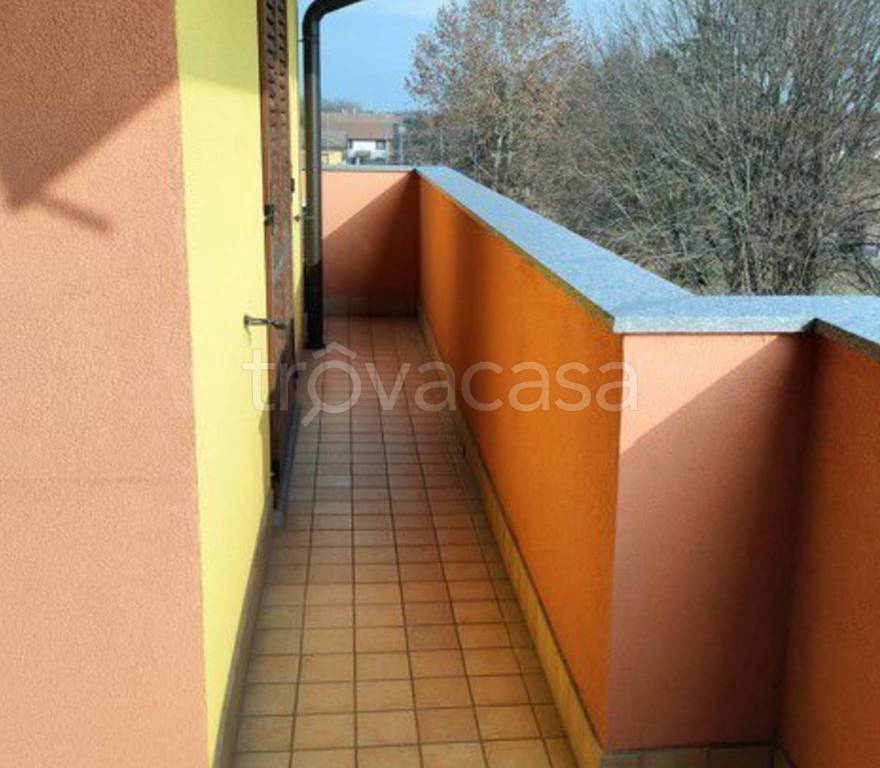 immagine annuncio 9 di 11