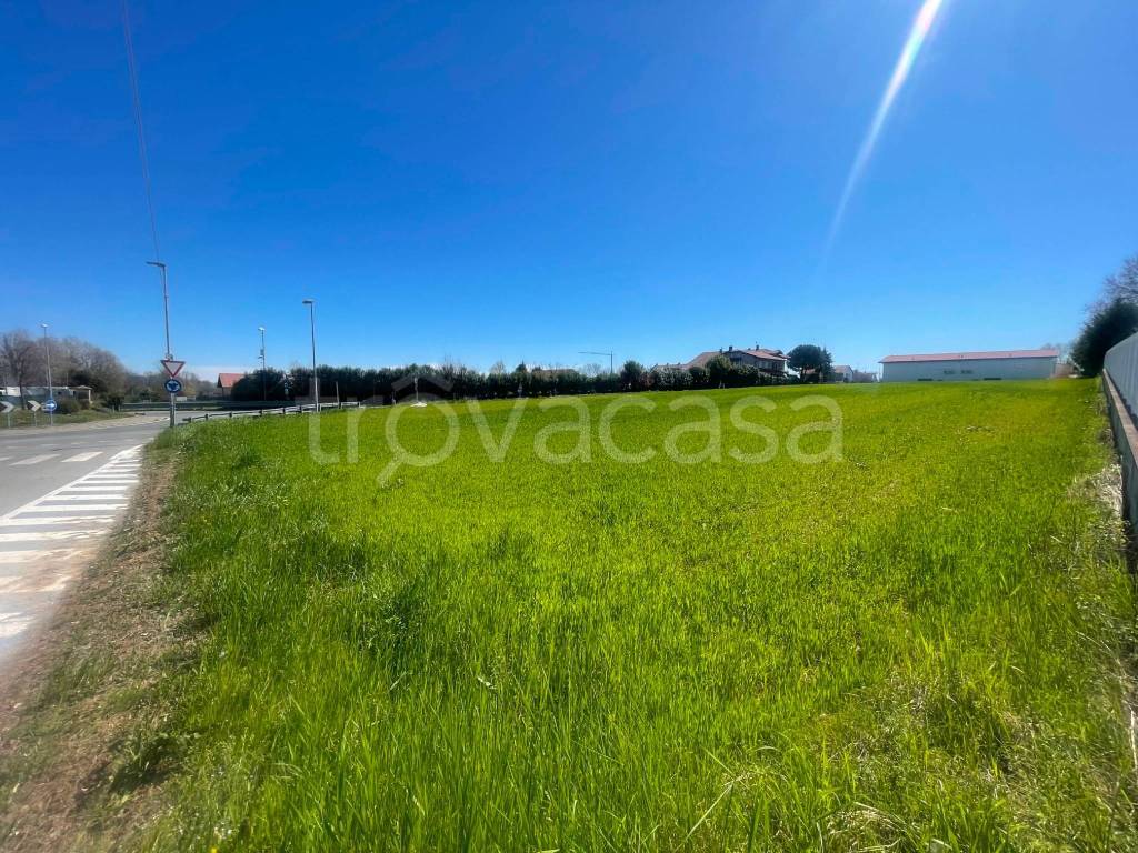 immagine annuncio 1 di 13