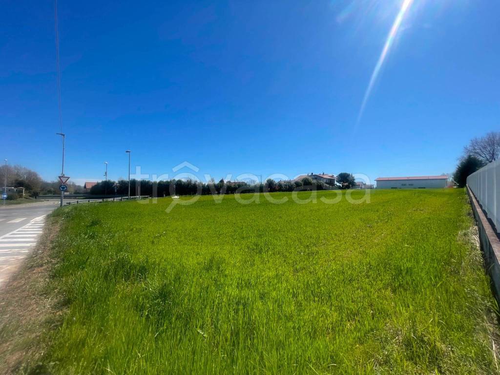 immagine annuncio 2 di 13