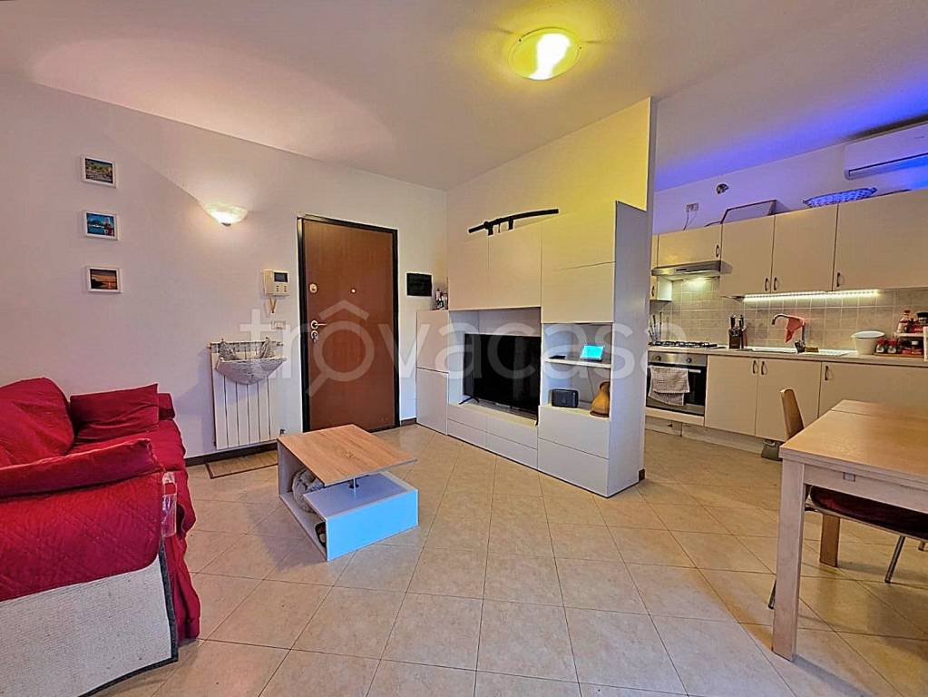 immagine annuncio 5 di 15