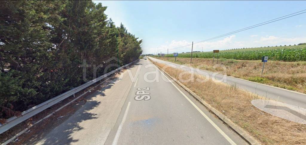 immagine annuncio 2 di 11