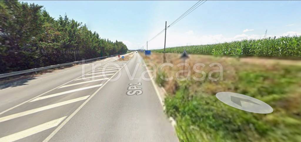 immagine annuncio 3 di 11