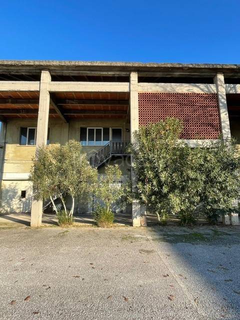 immagine annuncio 5 di 8