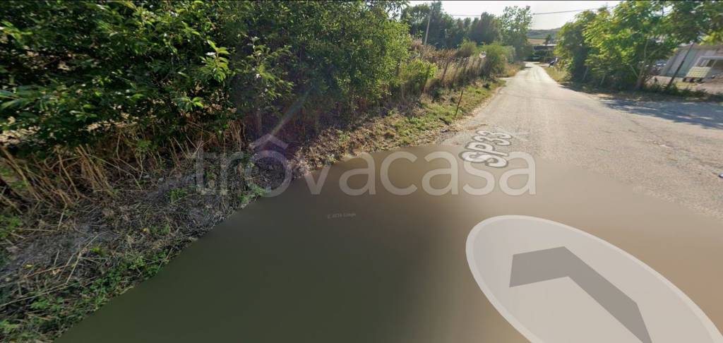 immagine annuncio 6 di 14