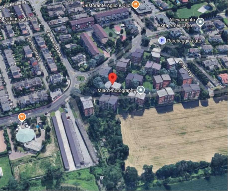 immagine annuncio 7 di 14