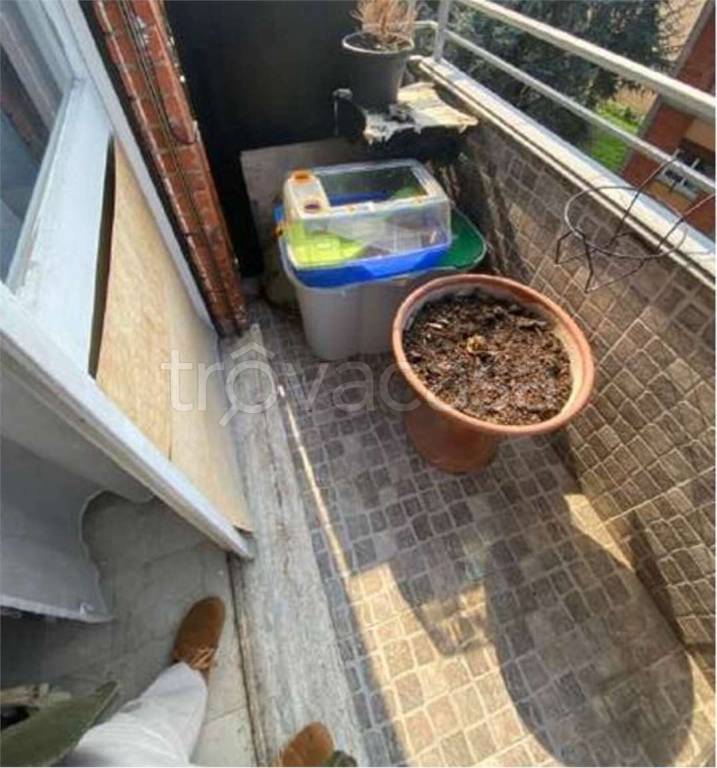 immagine annuncio 12 di 14