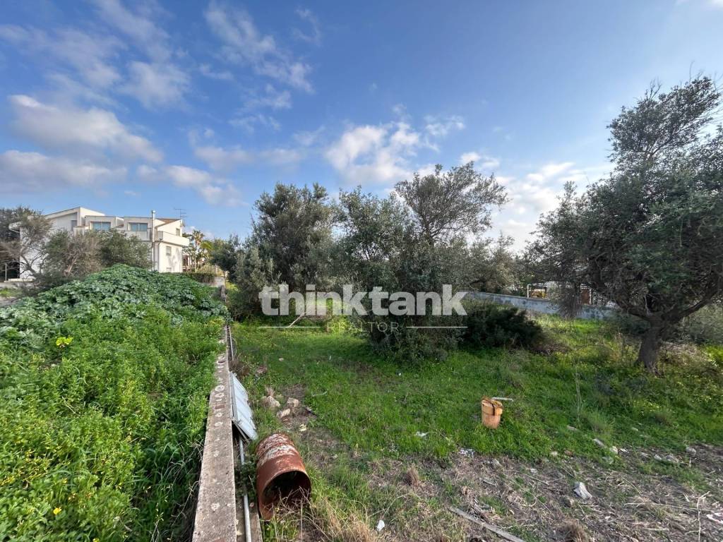 immagine annuncio 3 di 6