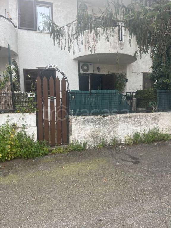 immagine annuncio 7 di 15