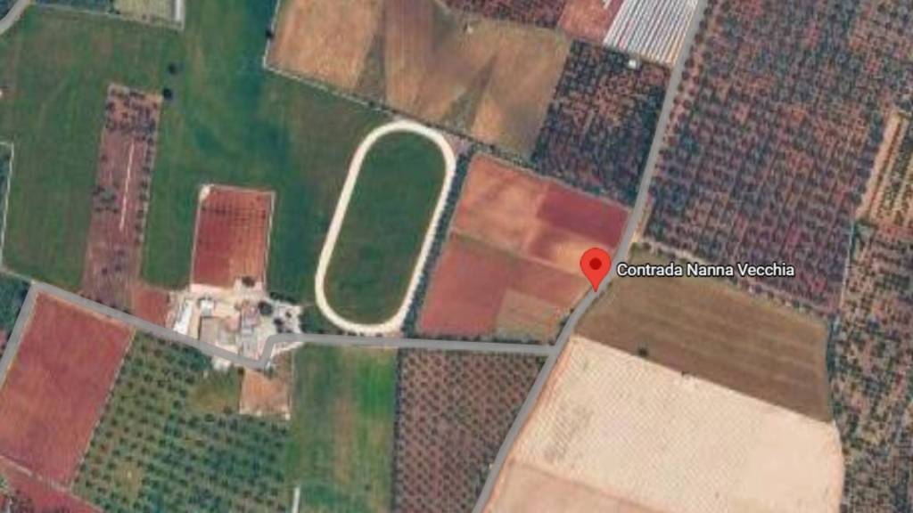 immagine annuncio 6 di 10