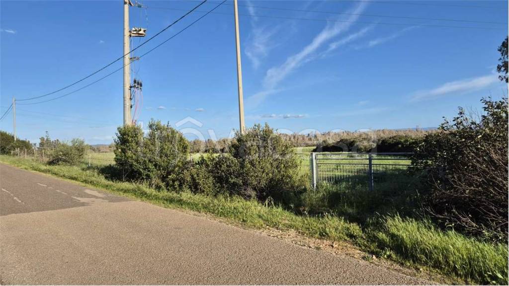 immagine annuncio 3 di 14