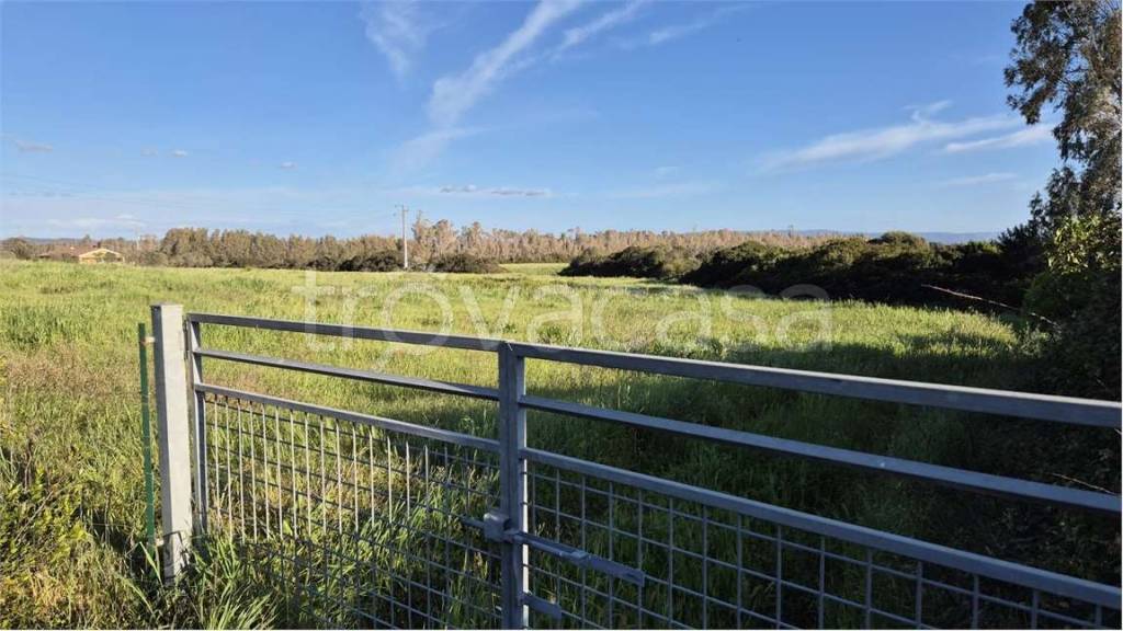 immagine annuncio 6 di 14