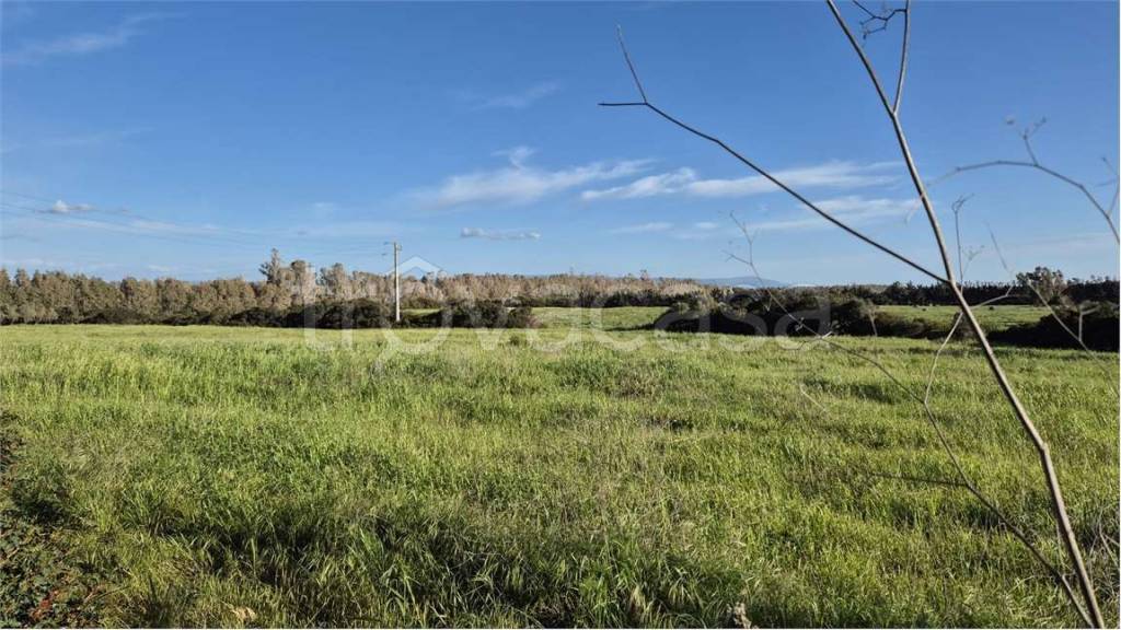 immagine annuncio 8 di 14