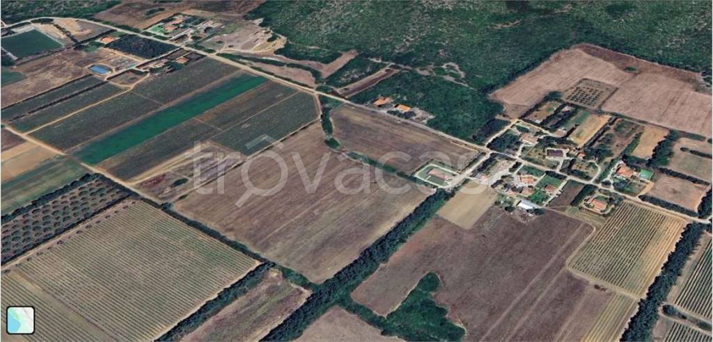 immagine annuncio 13 di 14