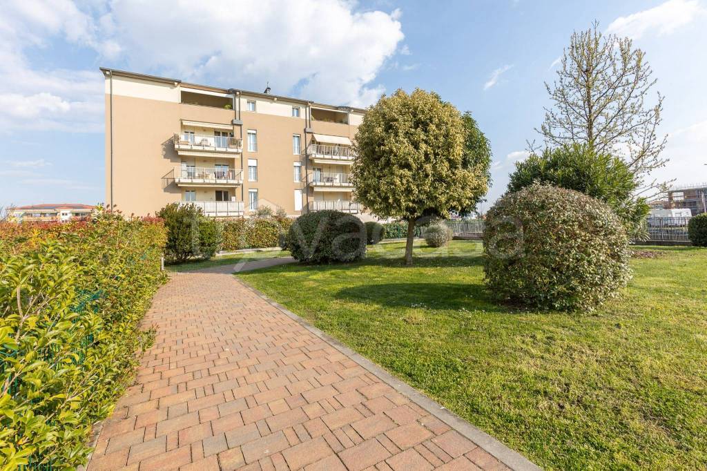 immagine annuncio 1 di 15