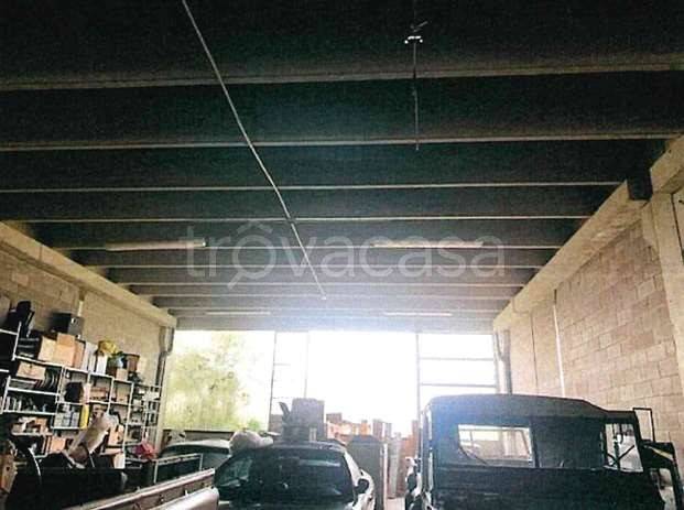 immagine annuncio 2 di 12