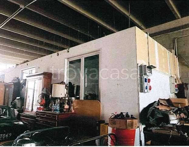 immagine annuncio 3 di 12