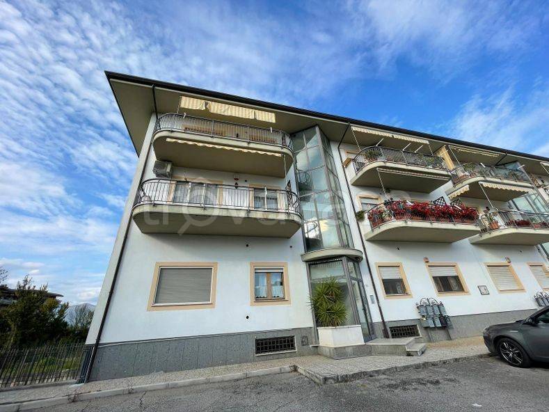 immagine annuncio 5 di 11