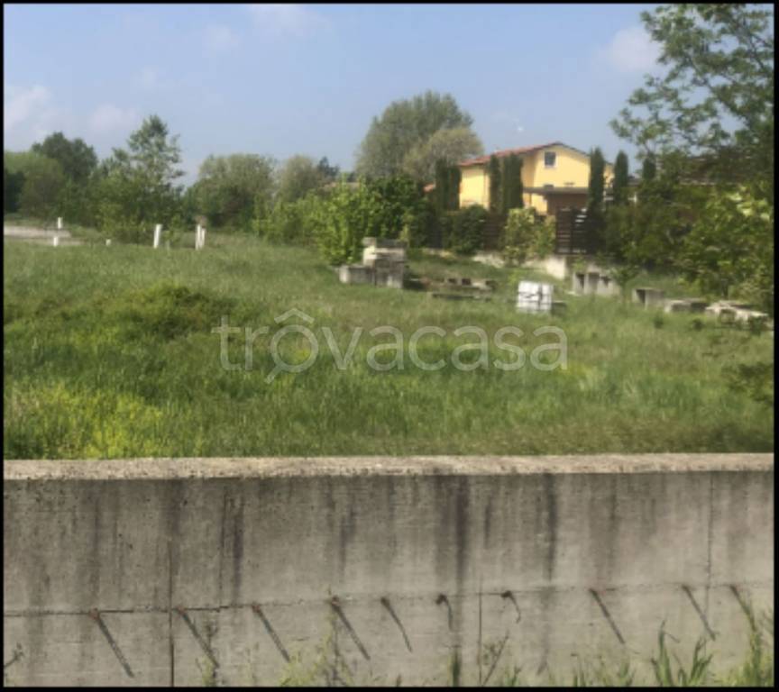 immagine annuncio 2 di 12