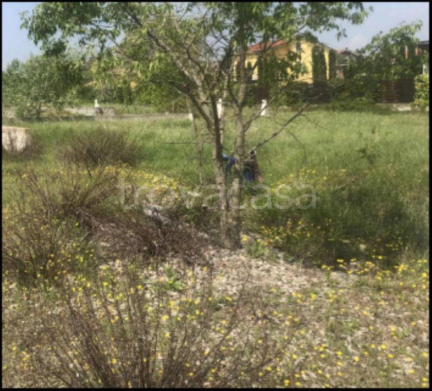 immagine annuncio 3 di 12