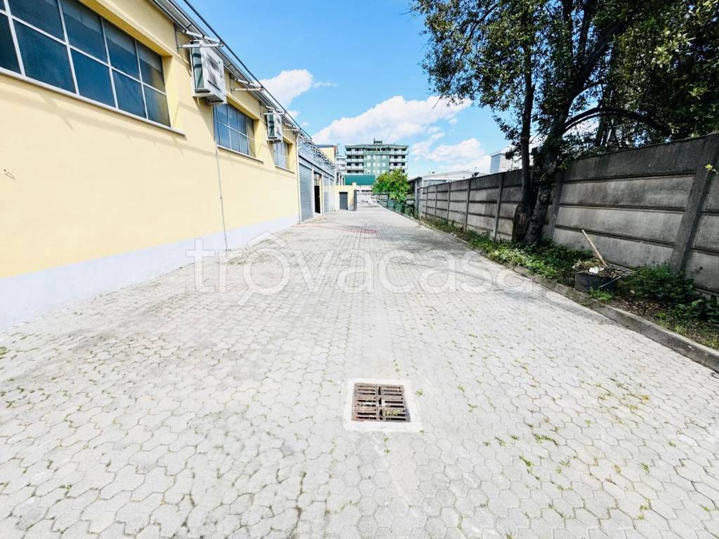 immagine annuncio 5 di 10