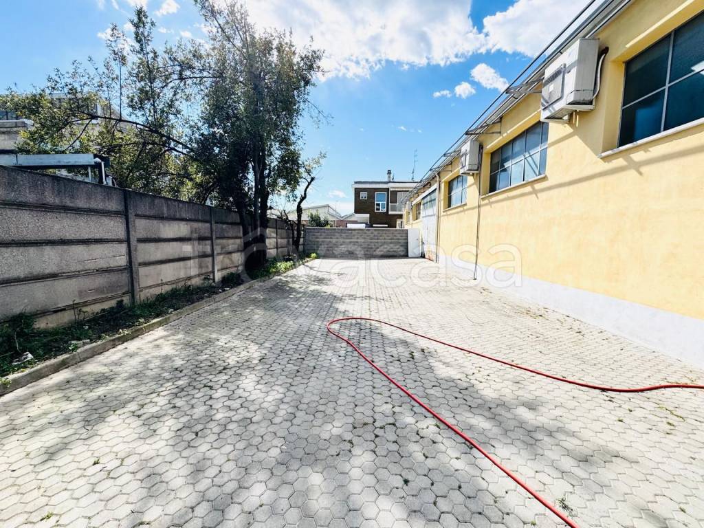 immagine annuncio 6 di 10