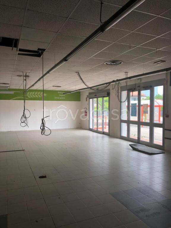 immagine annuncio 1 di 2