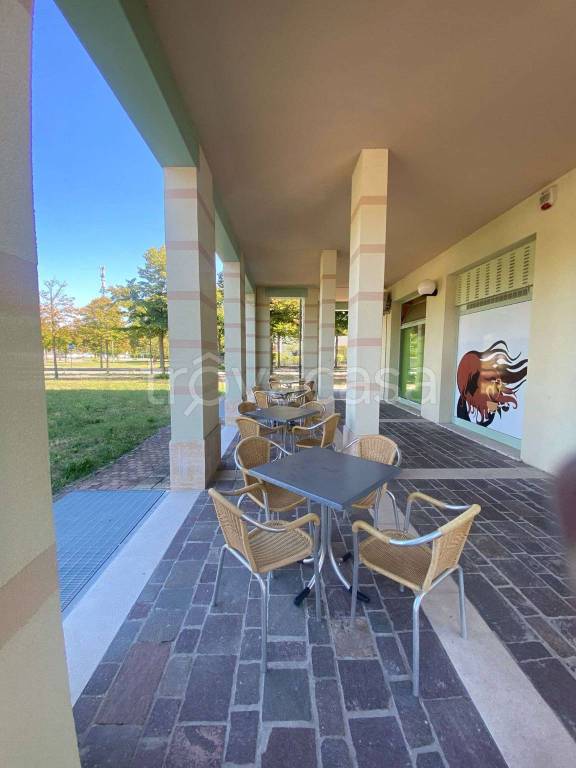 immagine annuncio 9 di 12