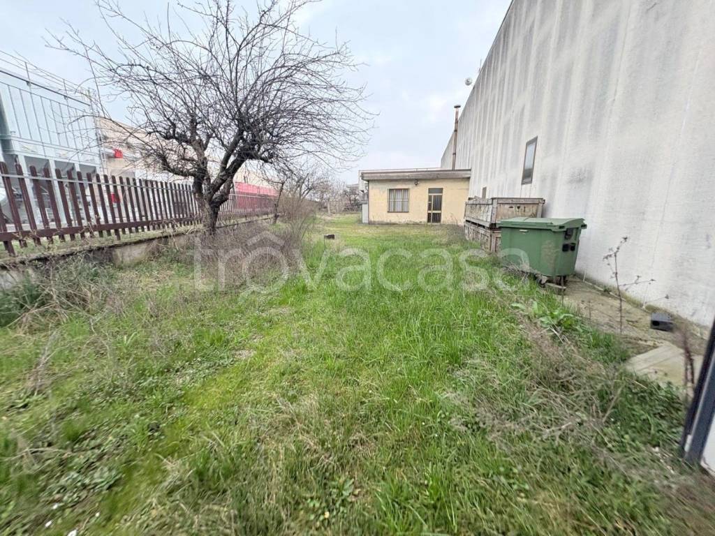 immagine annuncio 3 di 11