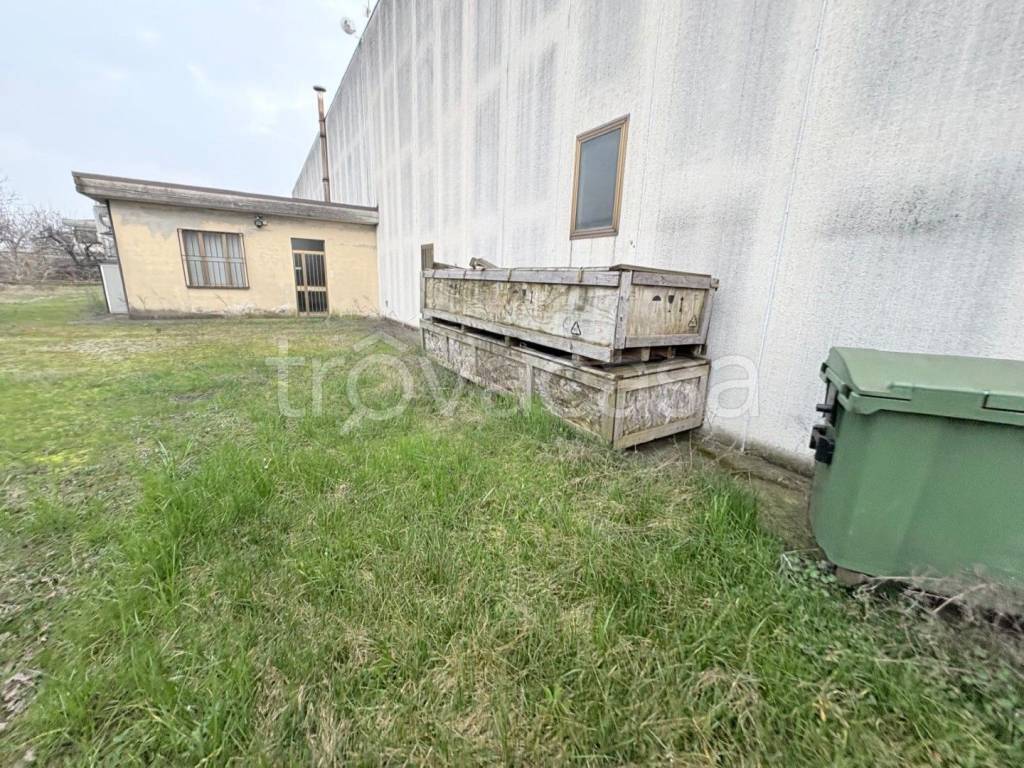 immagine annuncio 4 di 11