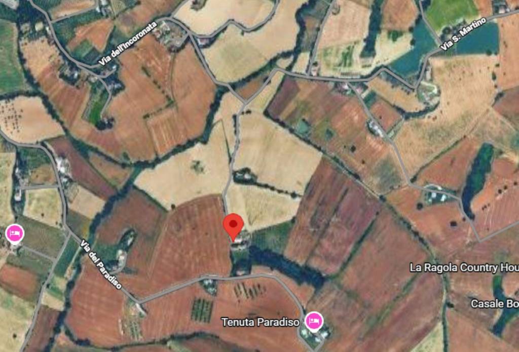 immagine annuncio 6 di 10