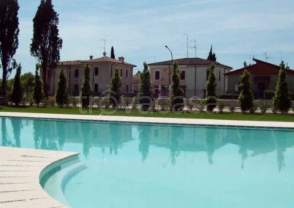 immagine annuncio 4 di 14