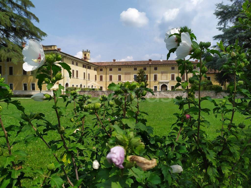 immagine annuncio 2 di 14