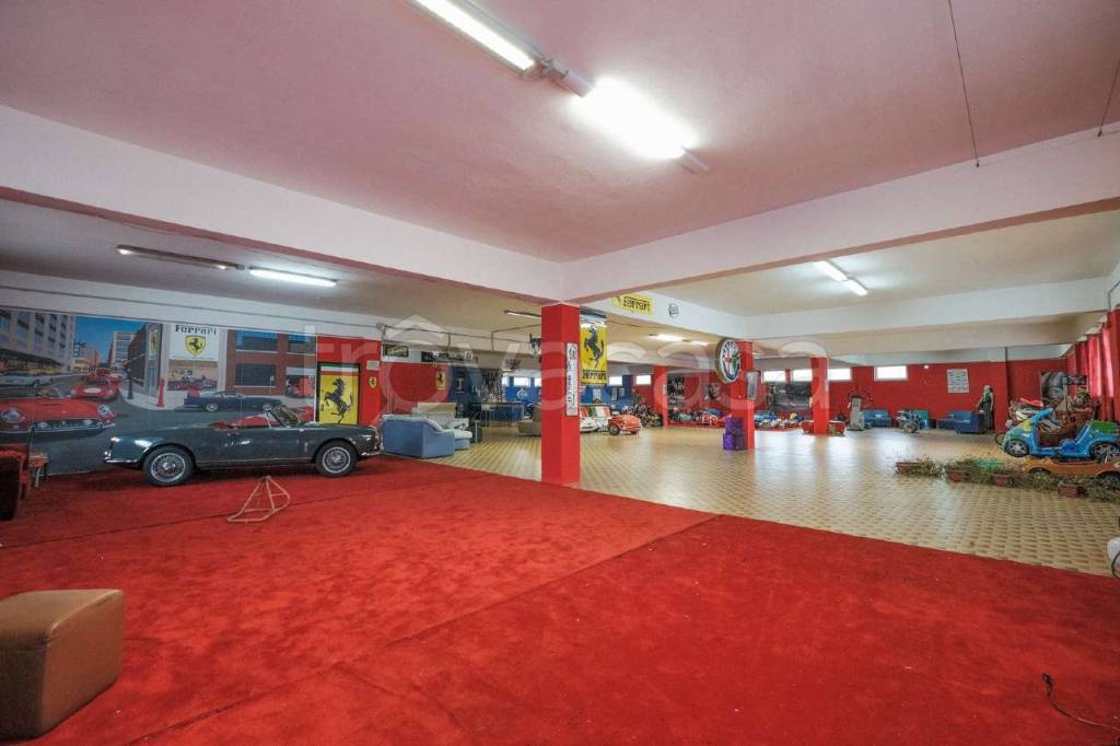 immagine annuncio 7 di 15