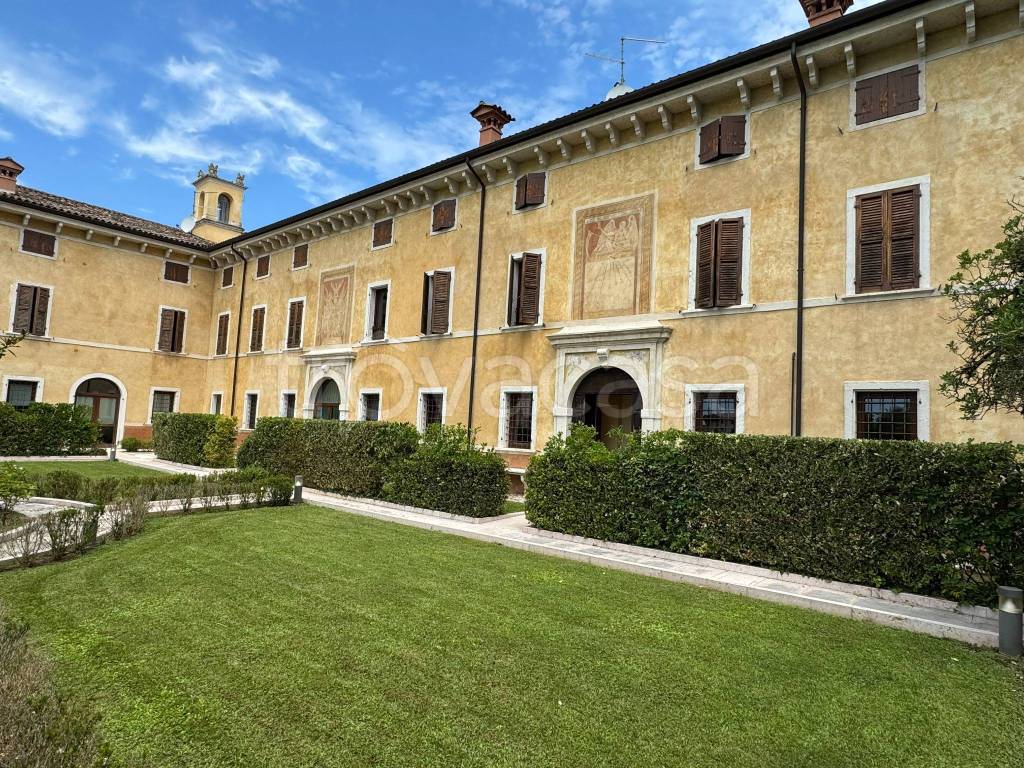 immagine annuncio 1 di 14