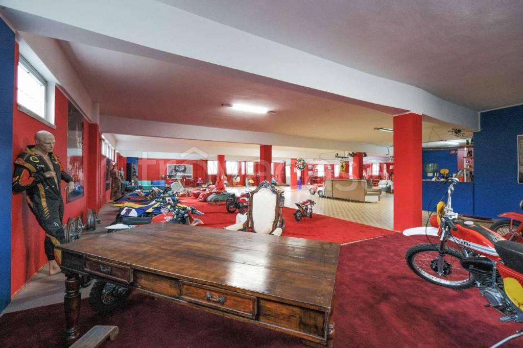 immagine annuncio 11 di 15