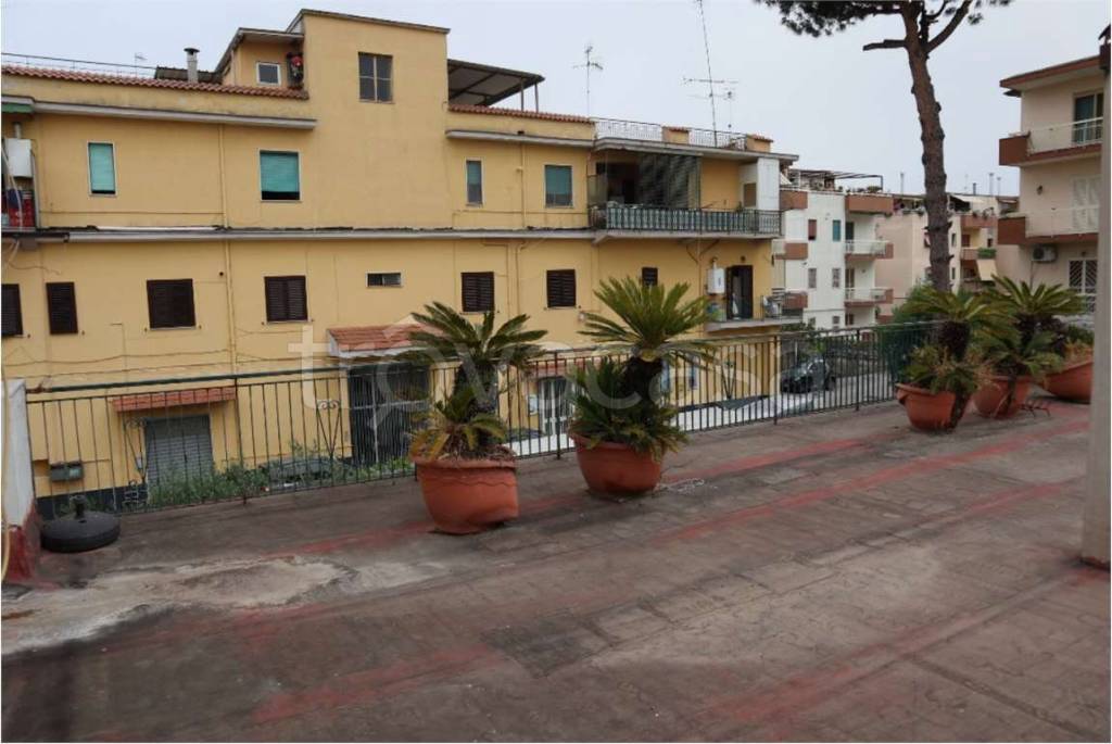 immagine annuncio 13 di 14