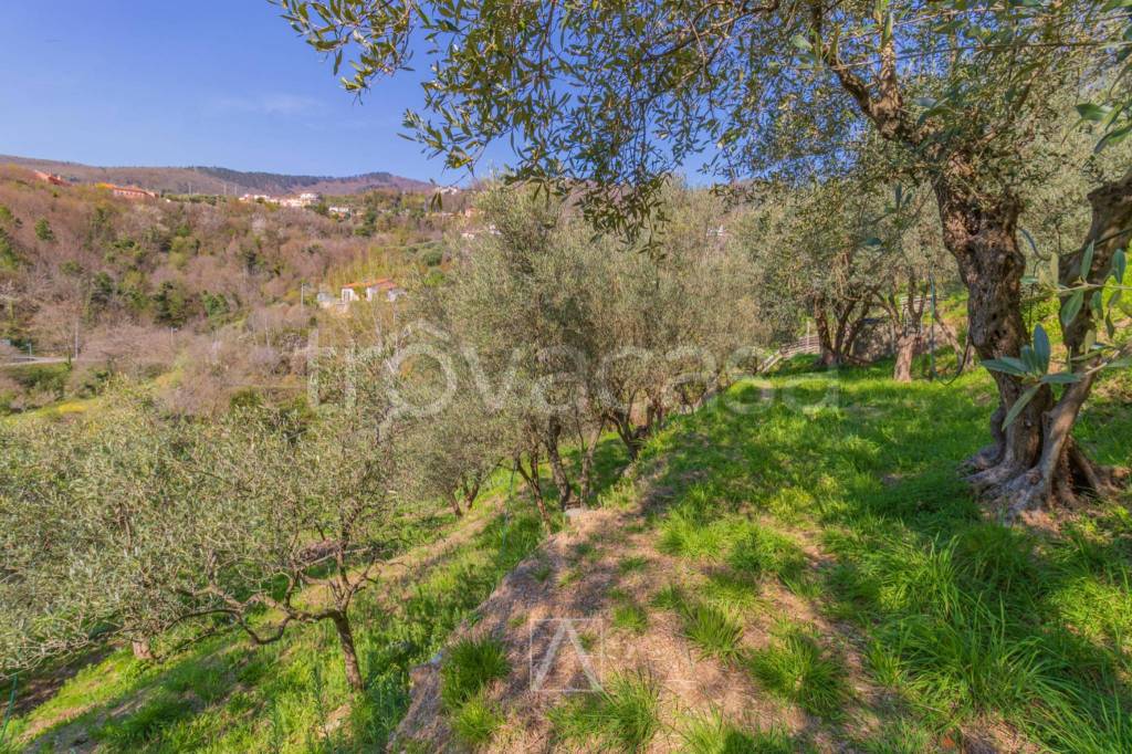 immagine annuncio 11 di 13