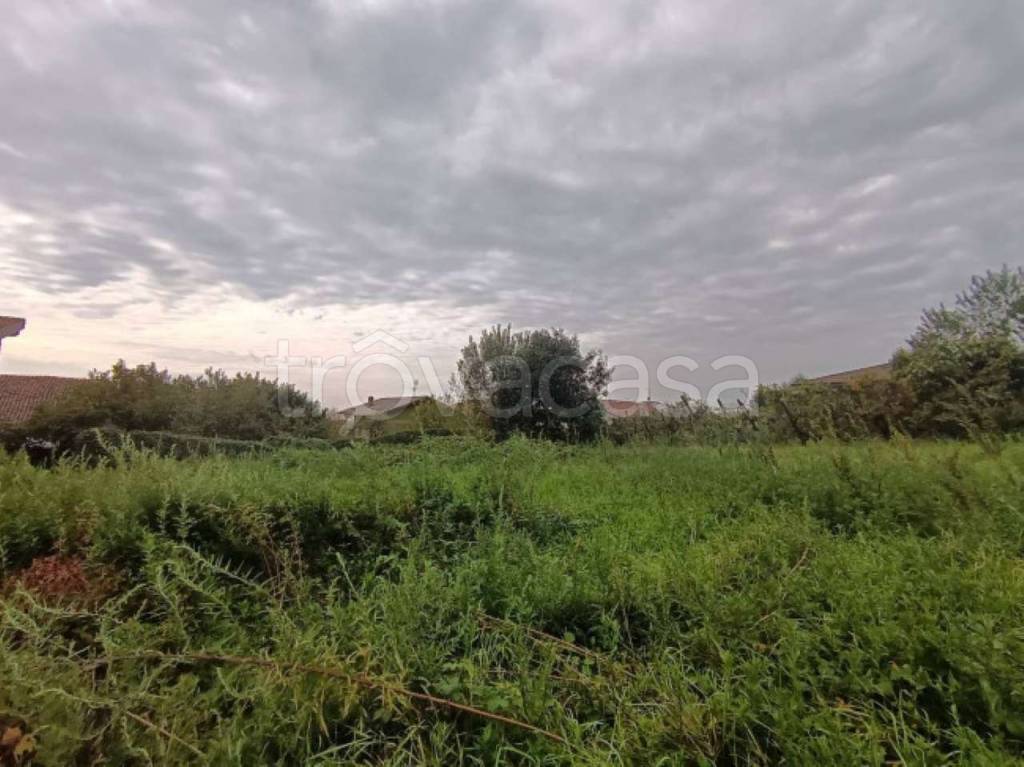 immagine annuncio 2 di 8